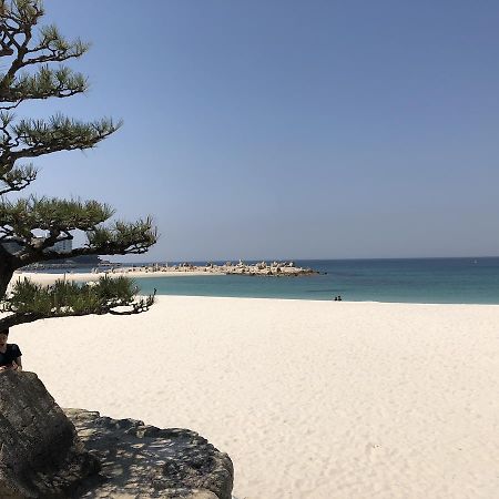 長楽園 Villa Shirahama Eksteriør billede
