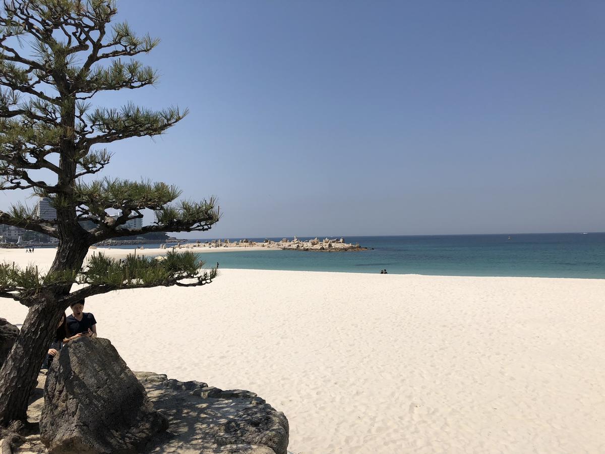 長楽園 Villa Shirahama Eksteriør billede